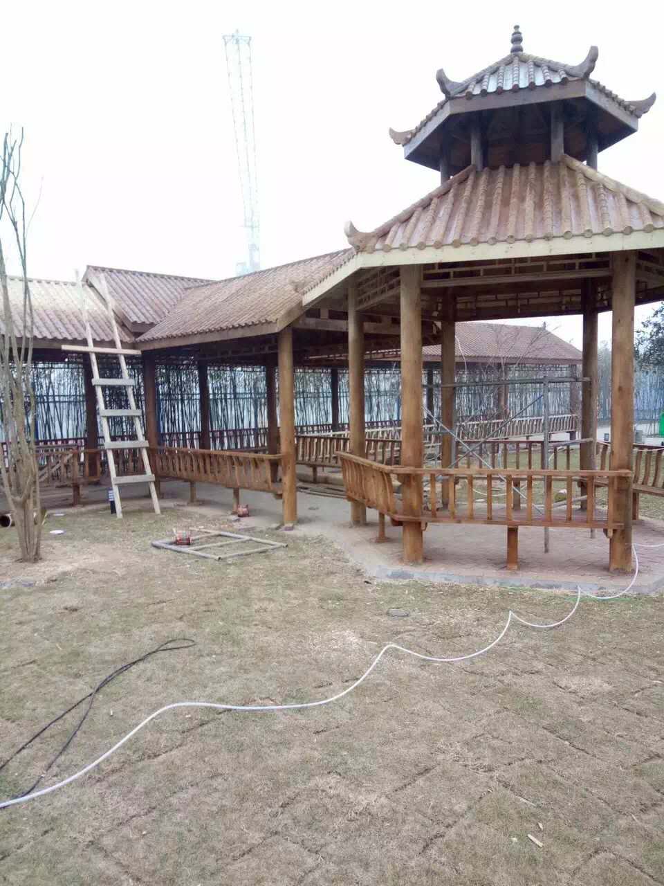 ݷľL(chng)